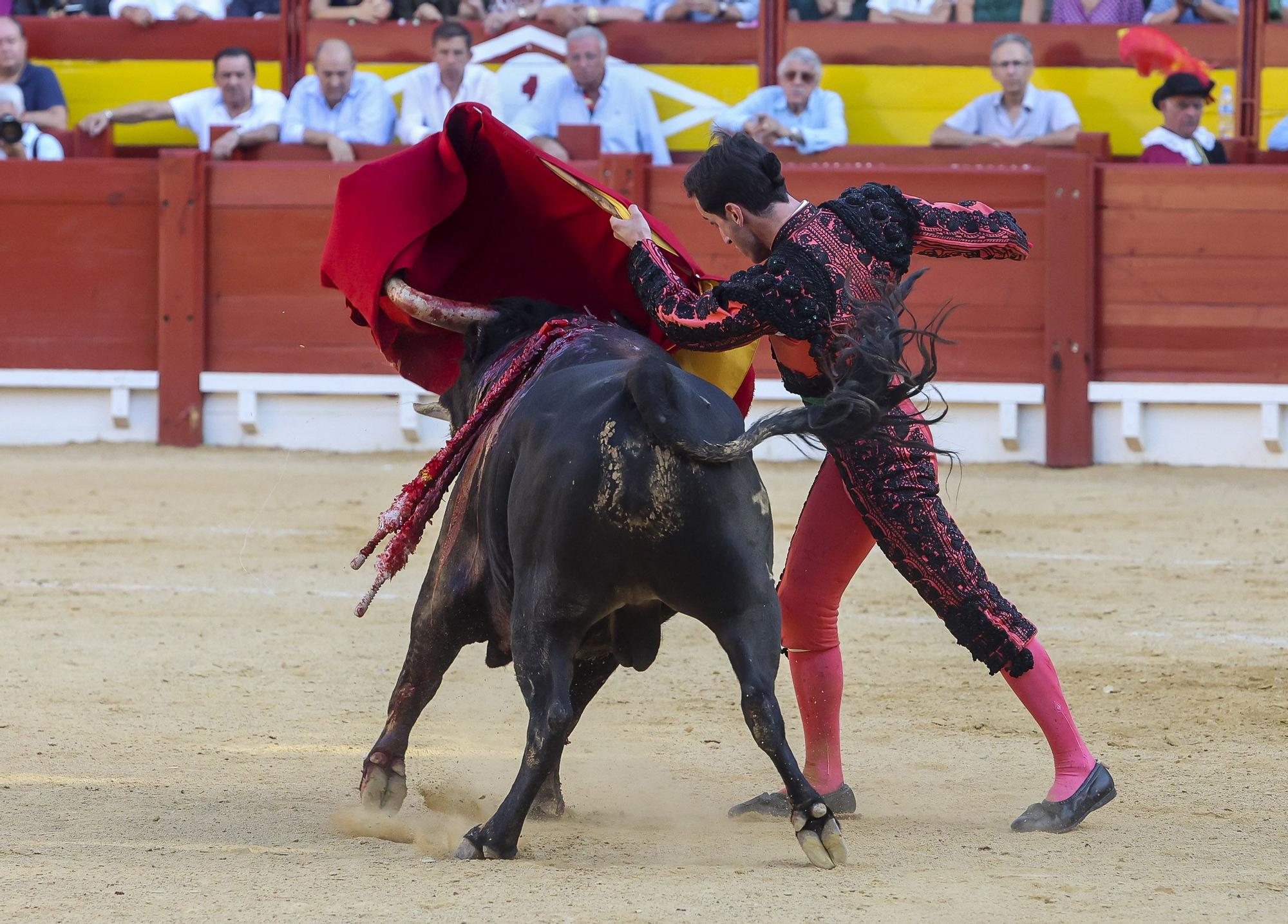 Novillada de Zacarías Moreno para cerrar la Feria de Hogueras