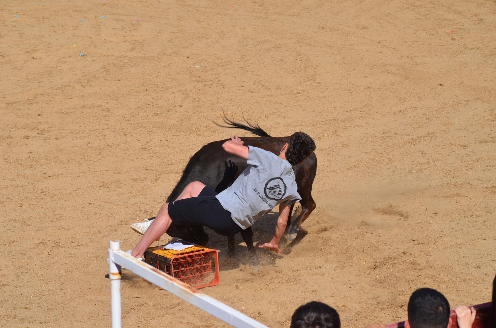 Fiestas del Toro en Benavente: Las mejores imágenes del "Juego de la NTE"