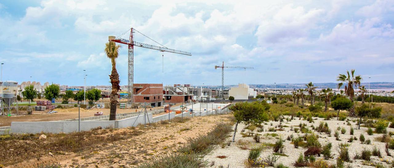 Torrevieja tiene sin ejecutar 20 zonas verdes sobre casi un millón de metros cuadrados