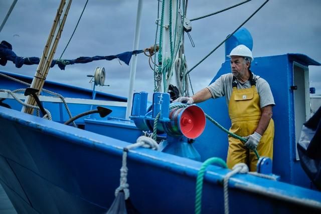 Descarga de atún en el puerto de Santa Cruz