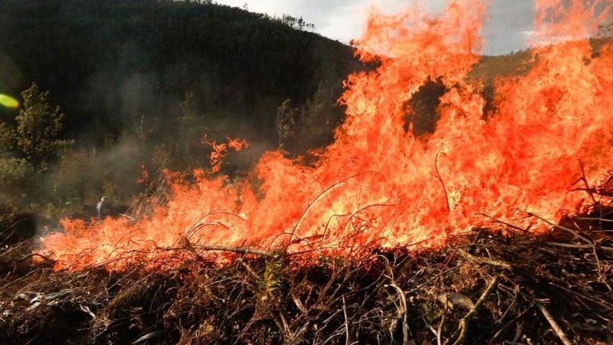 Incendio en el concejo de Tapia de Casariego.