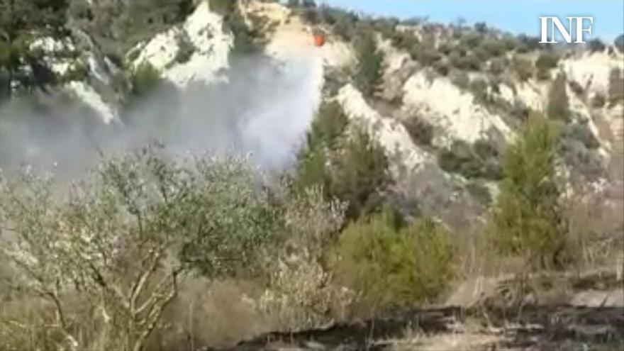 Amplio despliegue de medios en un incendio forestal en l'Alcudia de Cocentaina