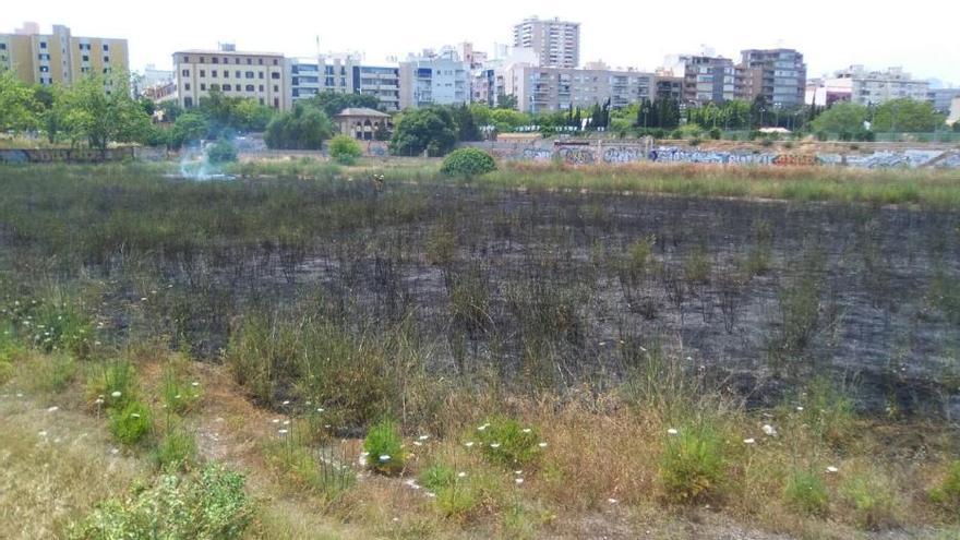 Declarado un incendio de rastrojos en el antiguo canódromo de Palma