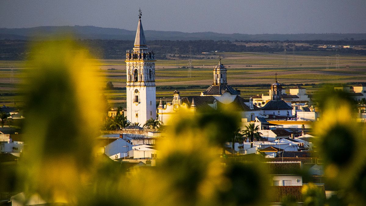 Panorámica de La Palma del Condado, con las torres de su monumental patrimonio religioso elevándose sobre los campos del Condado de Huelva