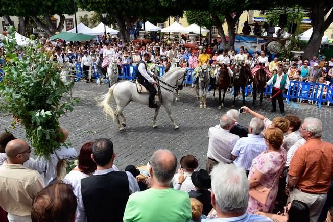 Procesion y Romeria por las Fiestas de las ...