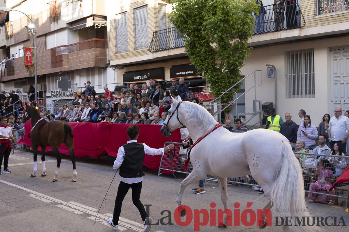 Fiestas de Caravaca | Desfile día 4 de mayo (Bando de los Caballos del Vino)