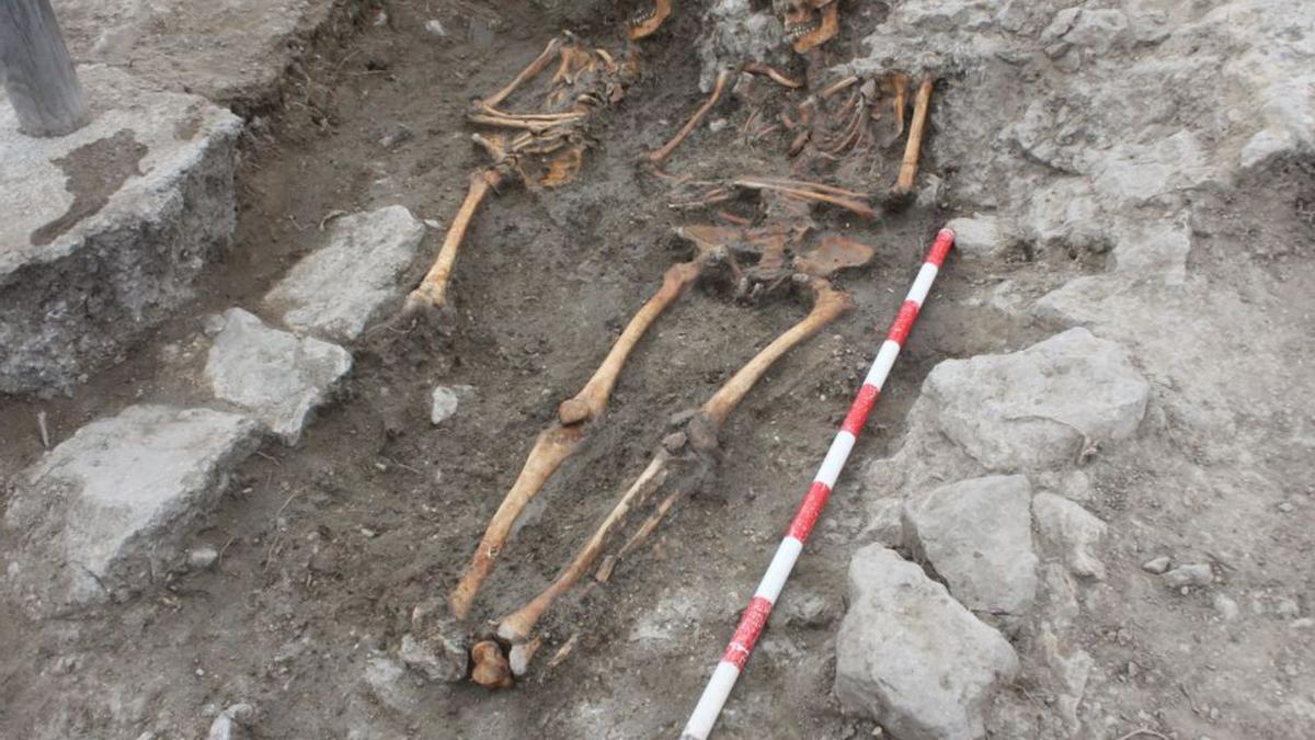 Los esqueletos hallados durante la campaña de excavaciones en Culla. | MEDITERRÁNEO
