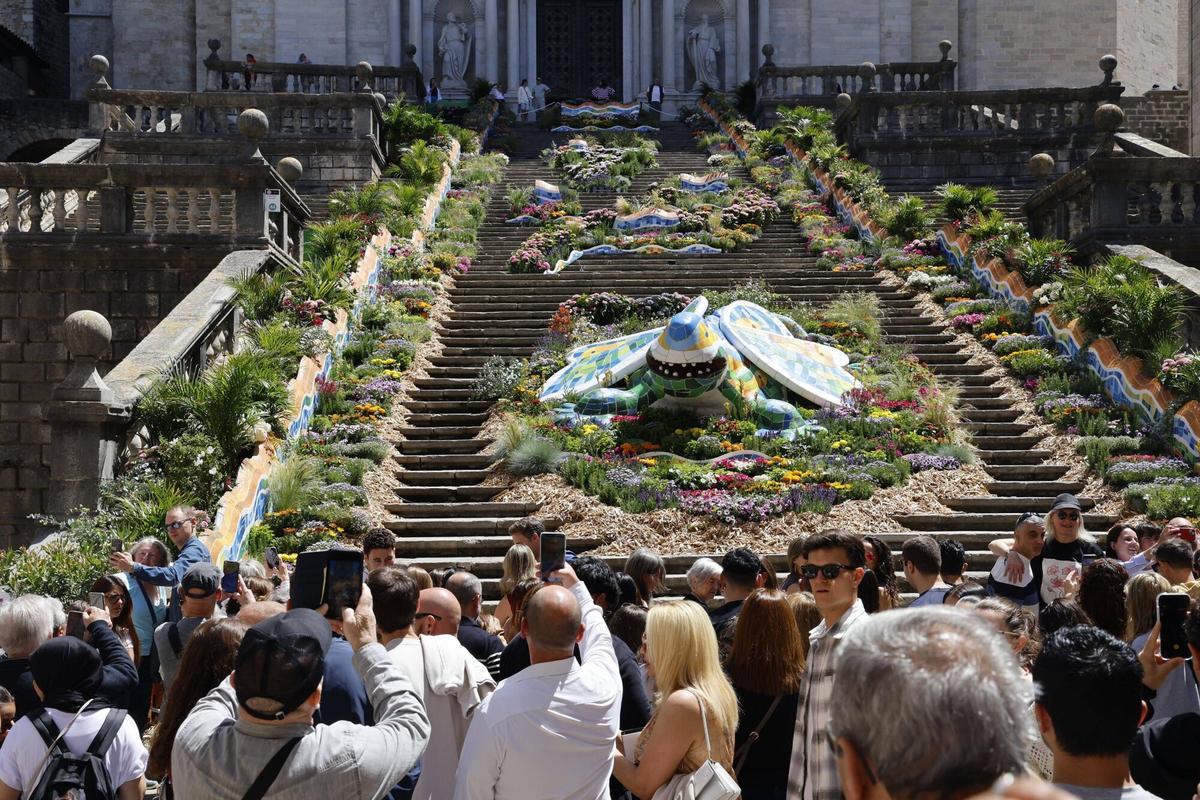 Les imatges de l'últim dissabte de Temps de Flors 2026