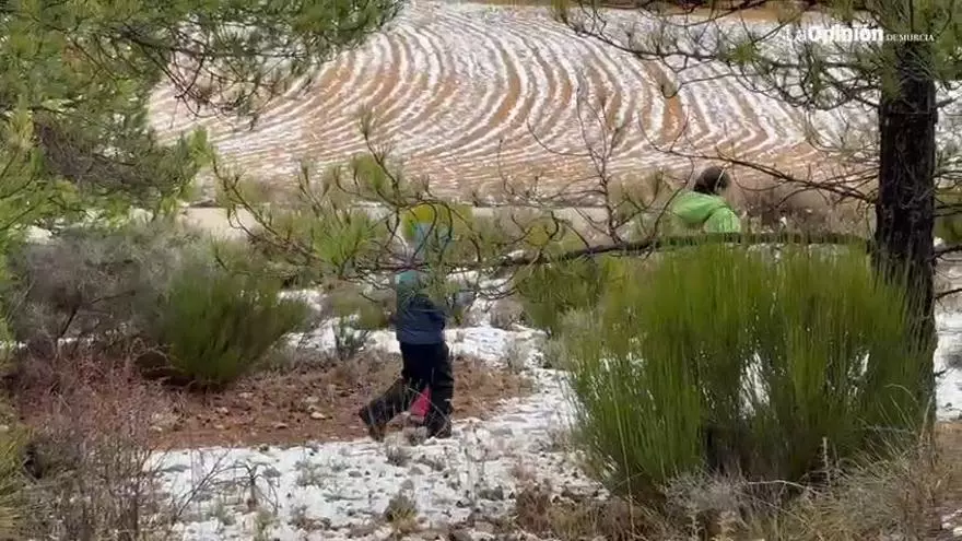 Abundante nieve este lunes en la Región de Murcia
