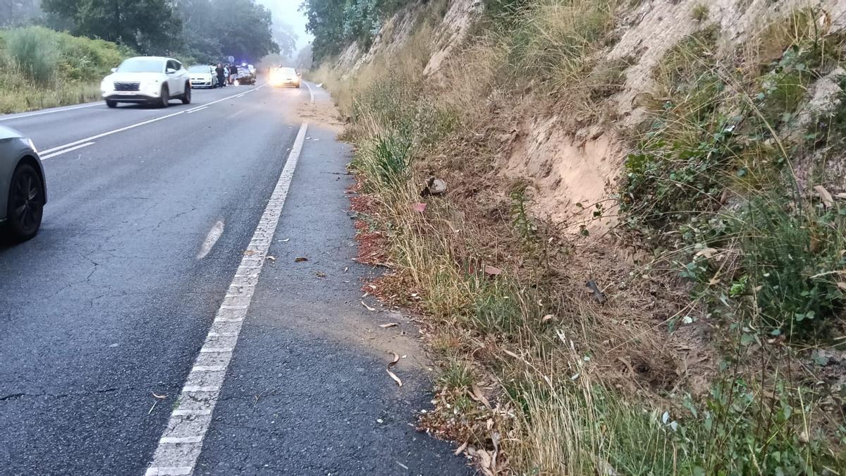 Punto el talud de la PO-313 contra el que impactó al vehículo al salirse de la vía.