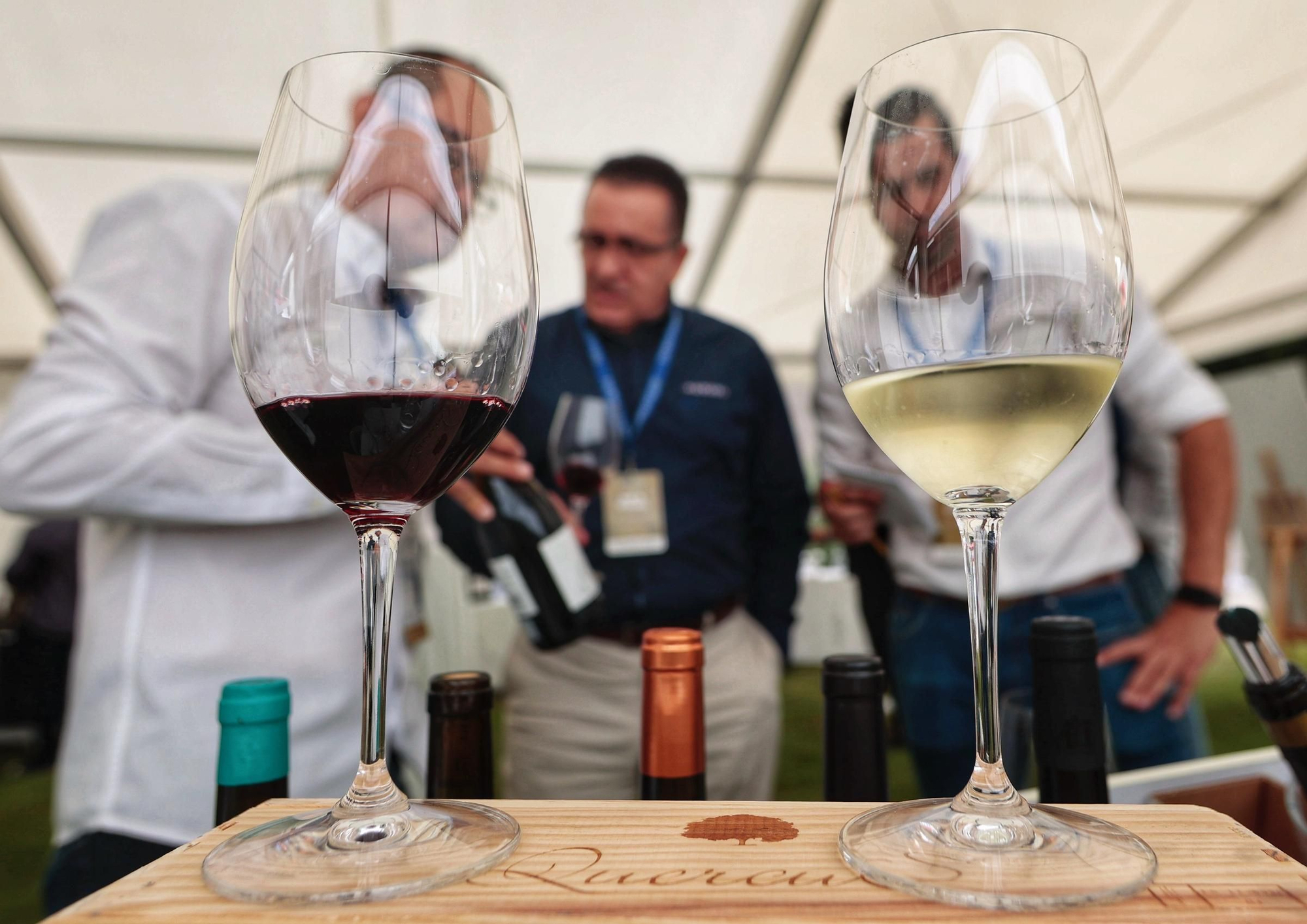 Primera jornada de The Wine Gallery