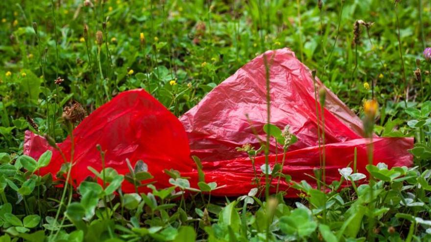 Bolsas de plástico o de papel ¿con qué debo ir a la compra?