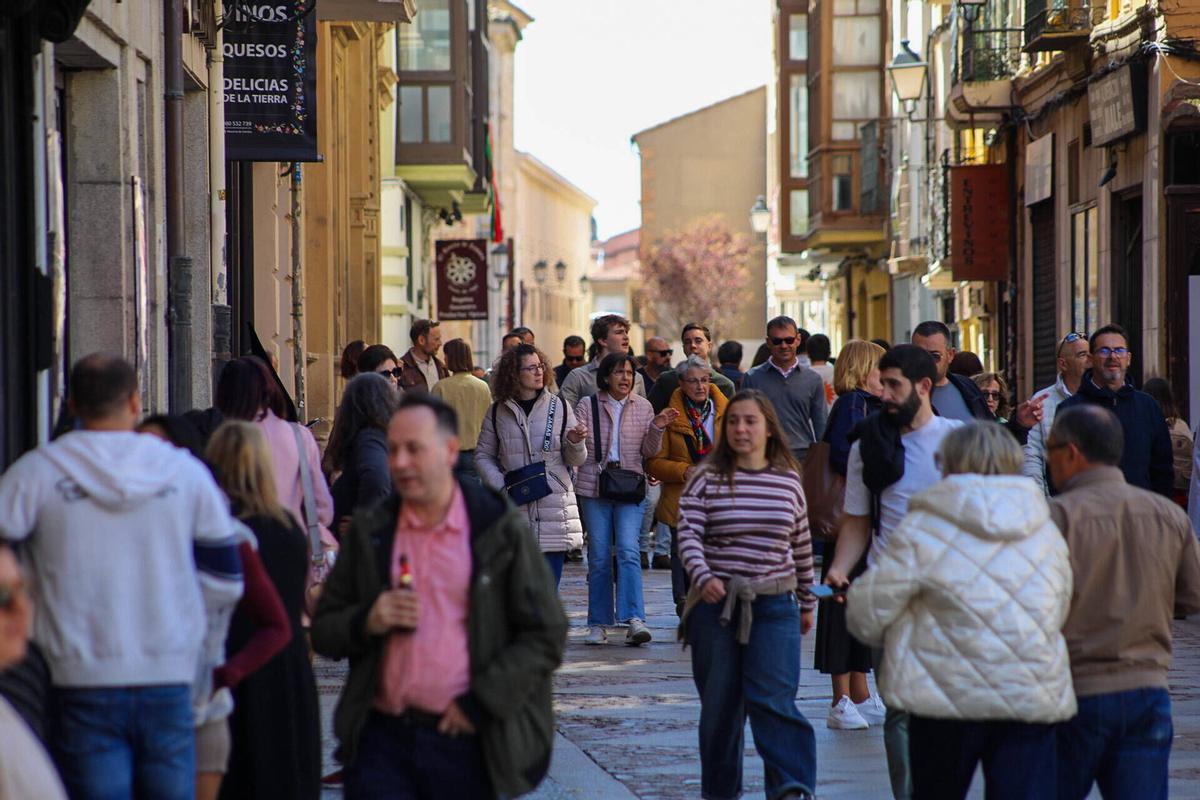 Zamora. Fotos turistas