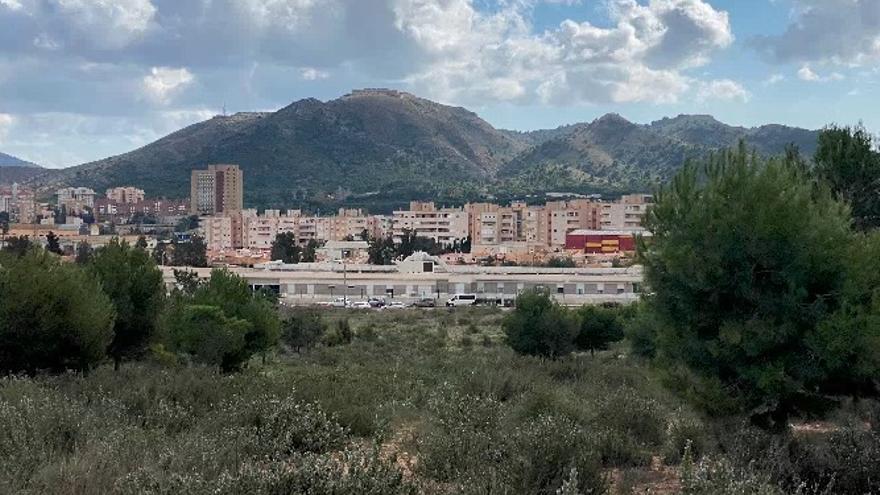 Piden ayuda para mantener cuatro hectáreas de bosque reforestado