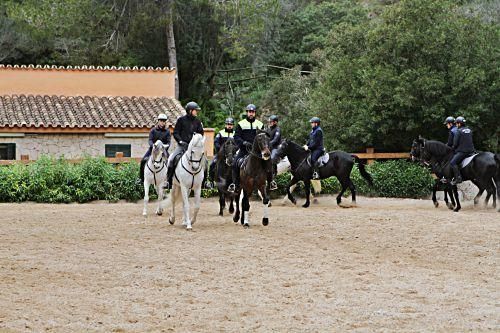Warum sich ein Besuch bei der ältesten Einheit der Ortspolizei von Palma auch für Nicht-Pferdeliebhaber lohnt