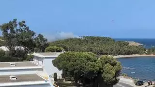 Detenen una dona com a presumpta autora d’un incendi forestal a Llançà