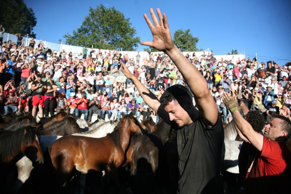 Más de quince "aloitadores" raparon a cerca de 200 caballos en el primer curro de Sabucedo