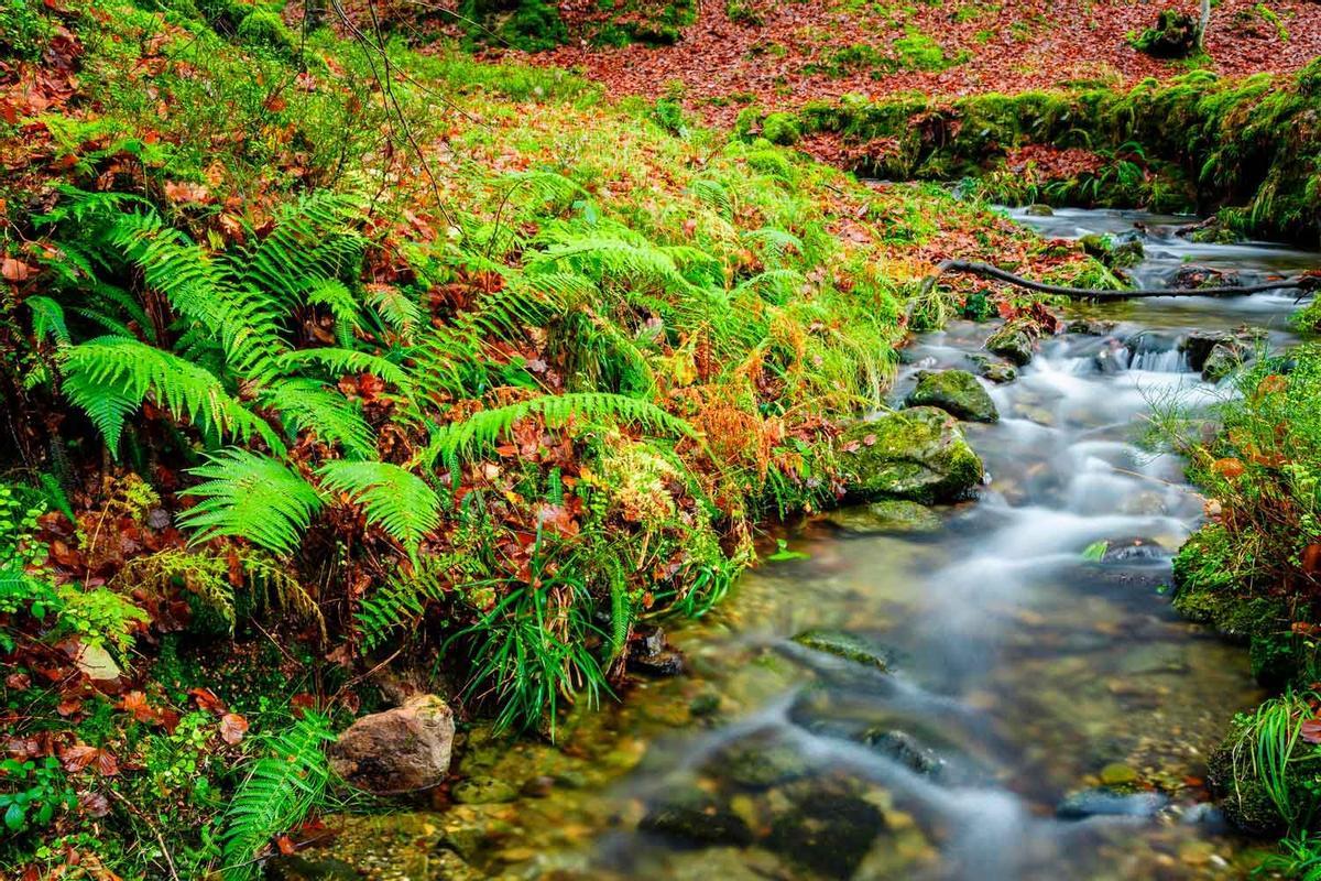 Valle de Cabuérniga, Cantabria