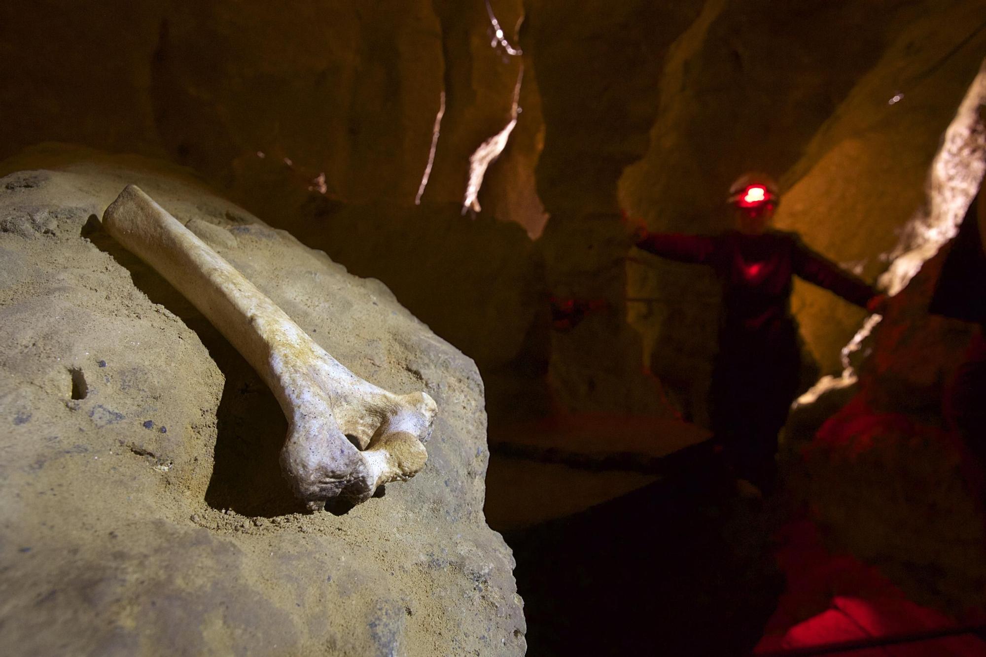 Exposición "Los Trece de Sidrón"