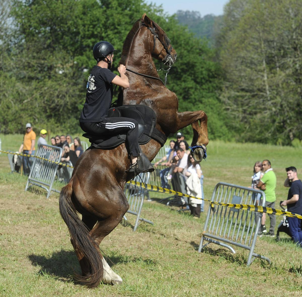XXXVI Feira do Cabalo de Lalín, 2026