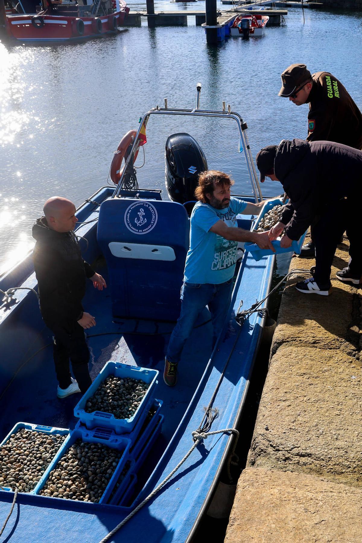 La almeja fue trasladada en lancha para ser resembrada.