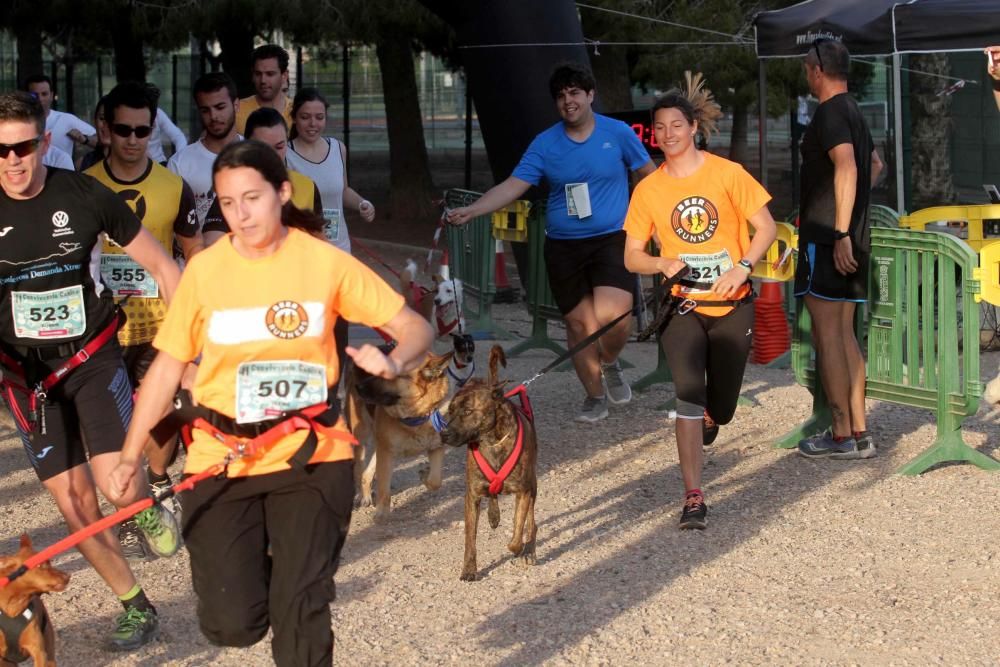 I Cross Canina de Santa Ana