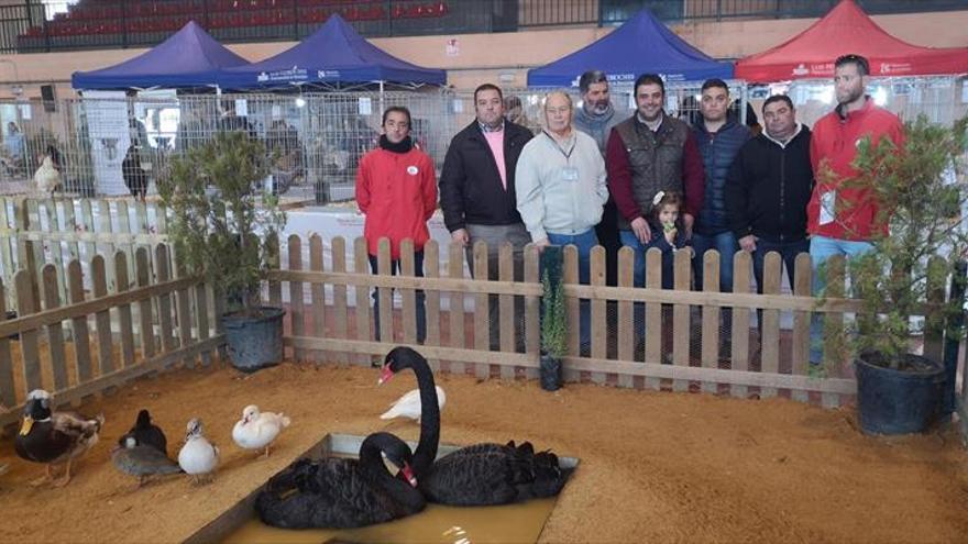 Las aves más llamativas