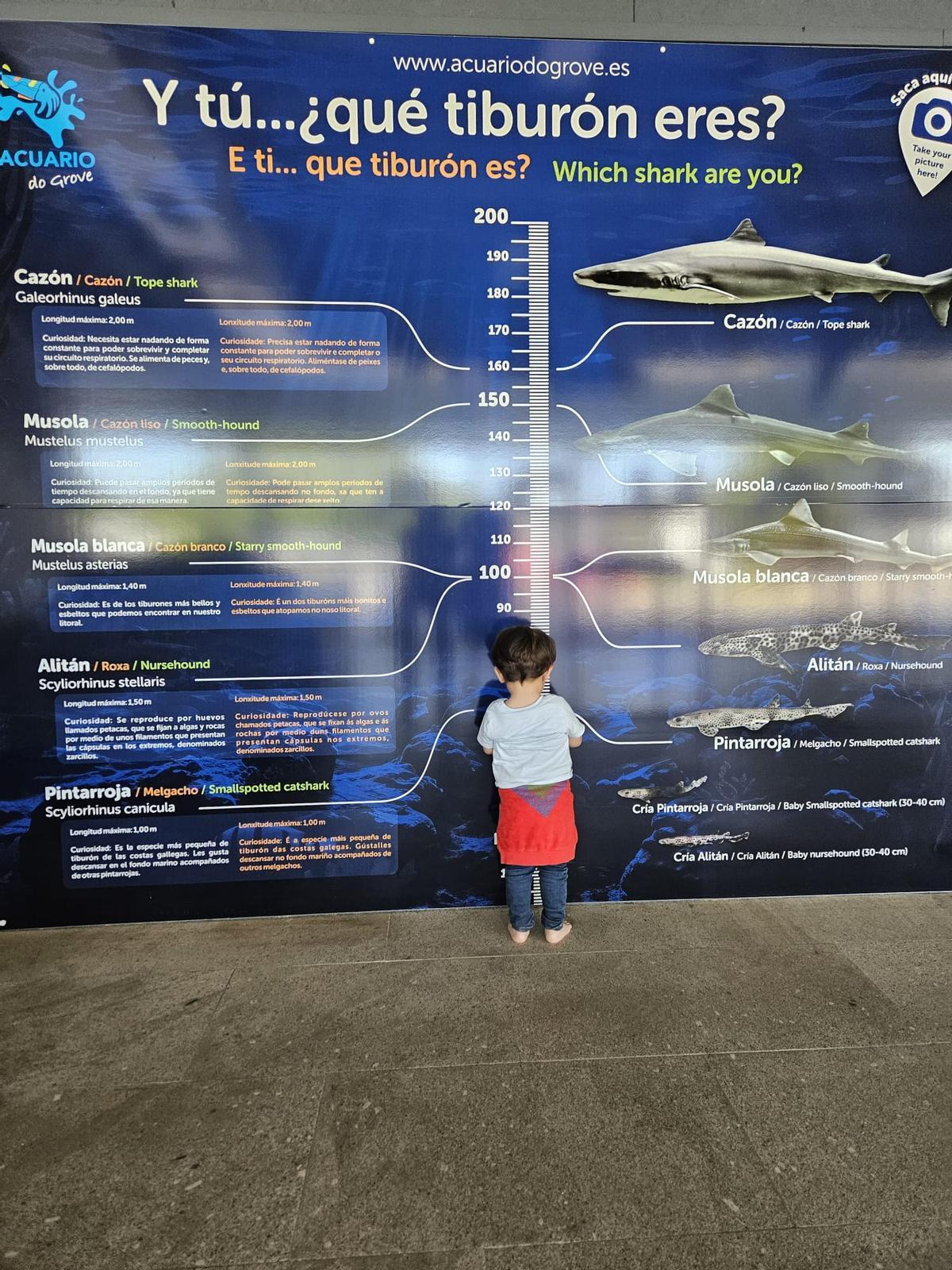 Un niño midiéndose en el Acuario.