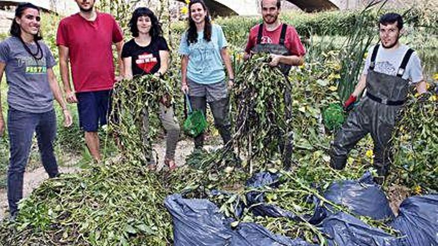 Activistes amb restes de les plantes recollides ahir.