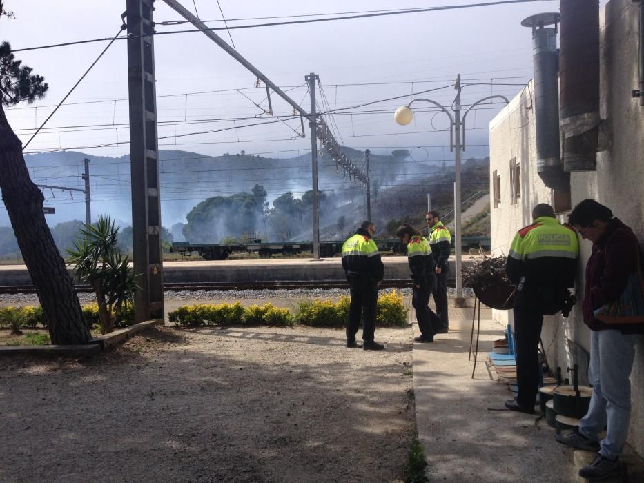 Incendi forestal a Llançà