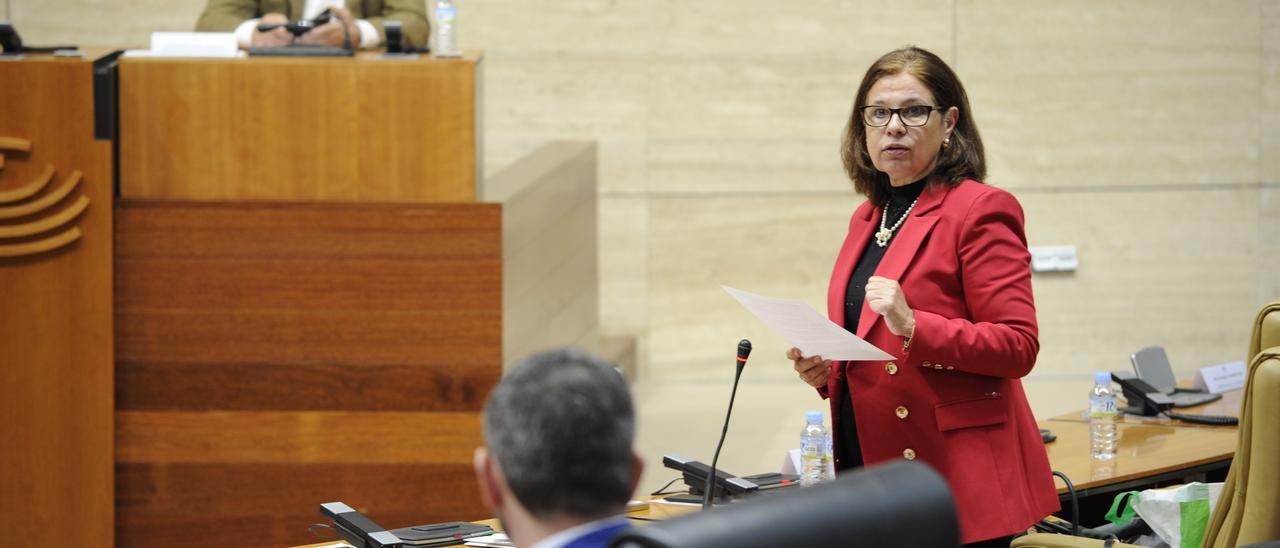 La vicepresidenta primera y consejera de Hacienda, Pilar Blanco-Morales, durante una intervención en la Asamblea.