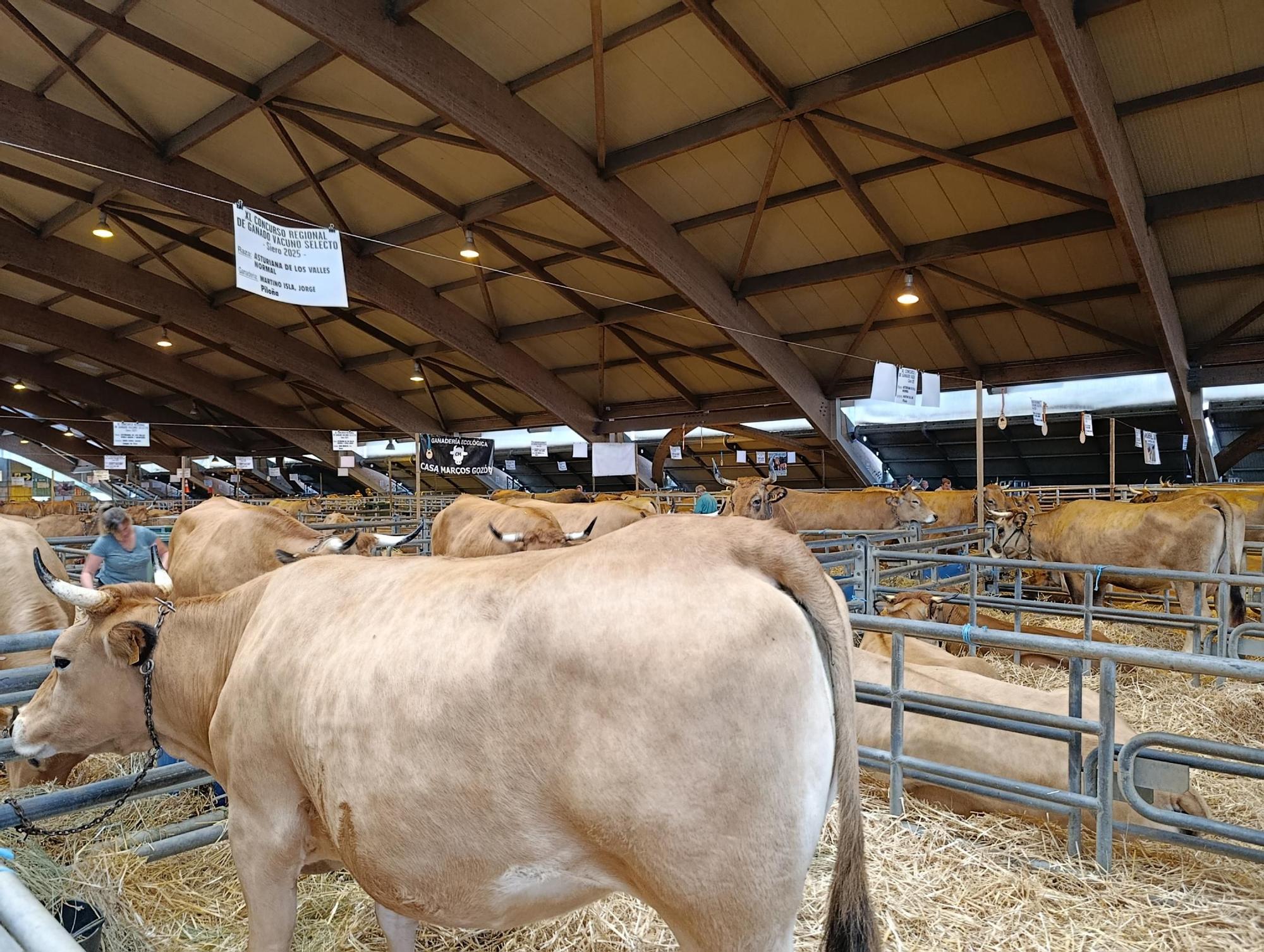 Arranca Agrosiero en La Pola