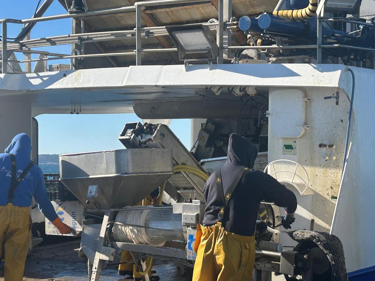 Trabajos de desdoble en las bateas de Arousa.