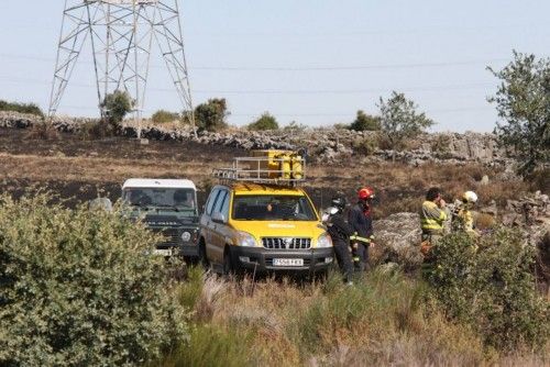 Un incendio arrasa parte de los Arribes en Villalcampo