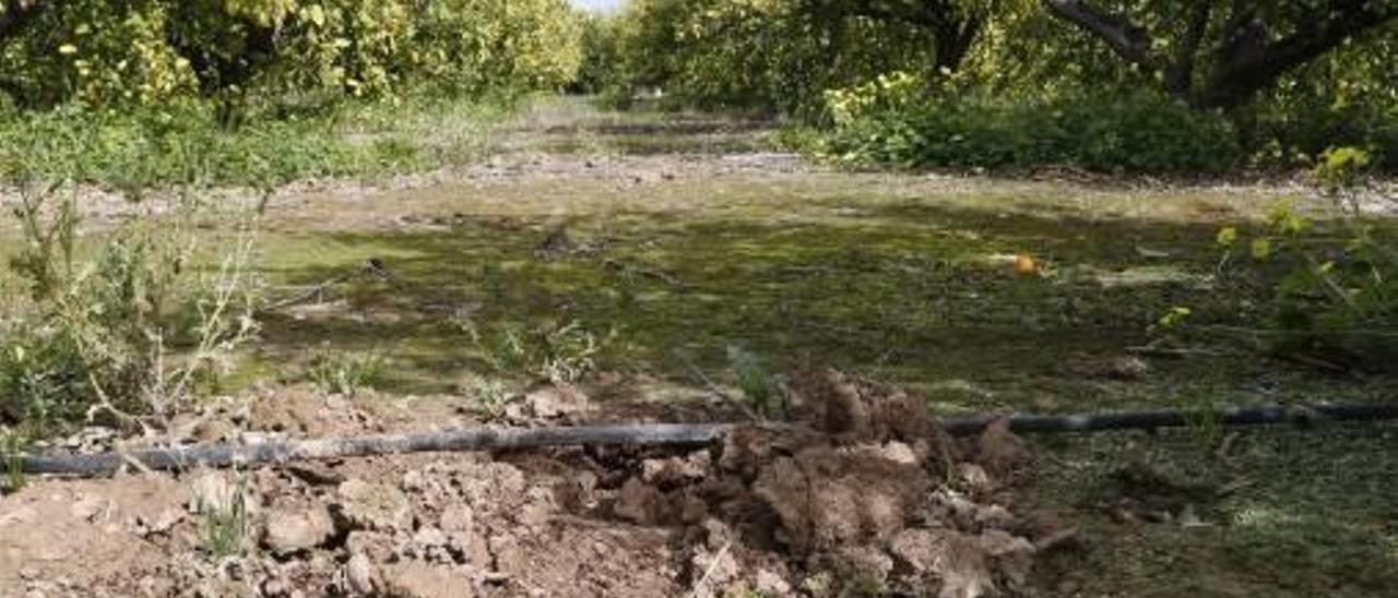 Uno de los agujeros tras arrancar los plantones en el centro del campo de Alzira.