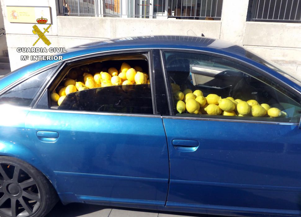 La Guardia Civil desmantela un grupo delictivo dedicado a la sustracción de limones en el Valle del Guadalentín