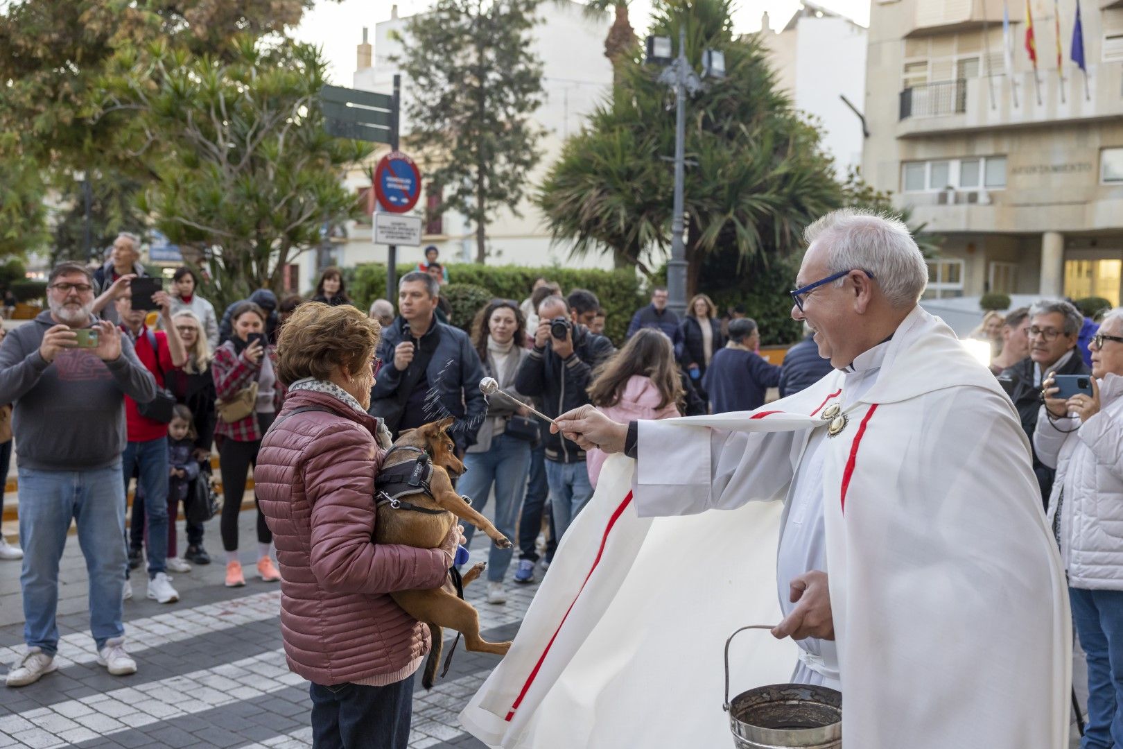 Así han recibicido la bendición perros, gatos y otra fauna doméstica el día de San Antón en Torrevieja