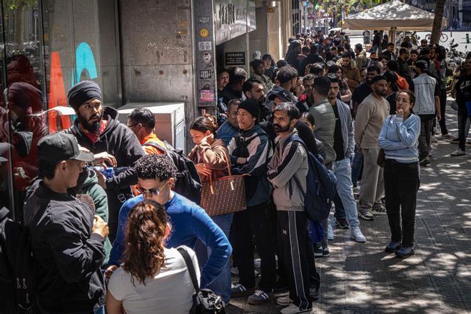 Registrades més de 13.500 sol·licituds telemàtiques el primer dia de la regularització d’immigrants