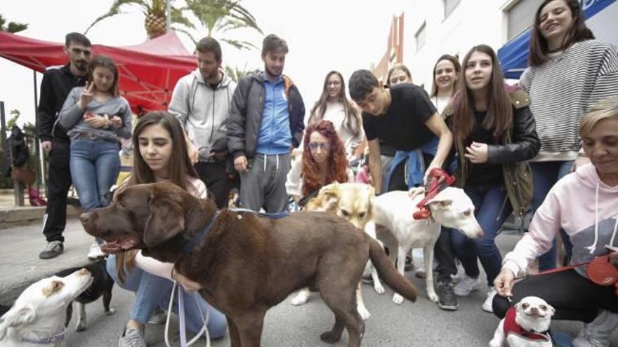 Aspe se vuelca con los animales