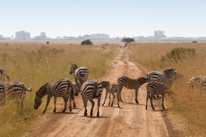 Parque Nacional de Nairobi, Kenia