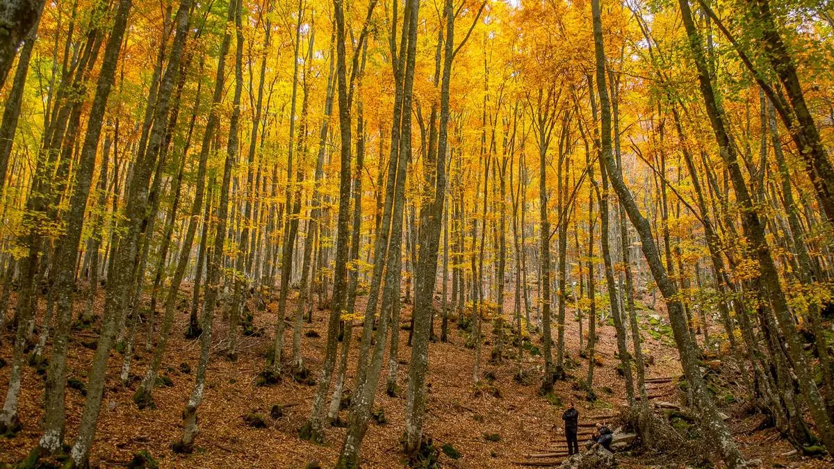 La Tejeda de Tosande, la ruta de senderismo más espectacular de España
