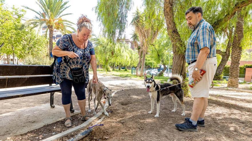 Parques caninos en Alicante con cero estrellas