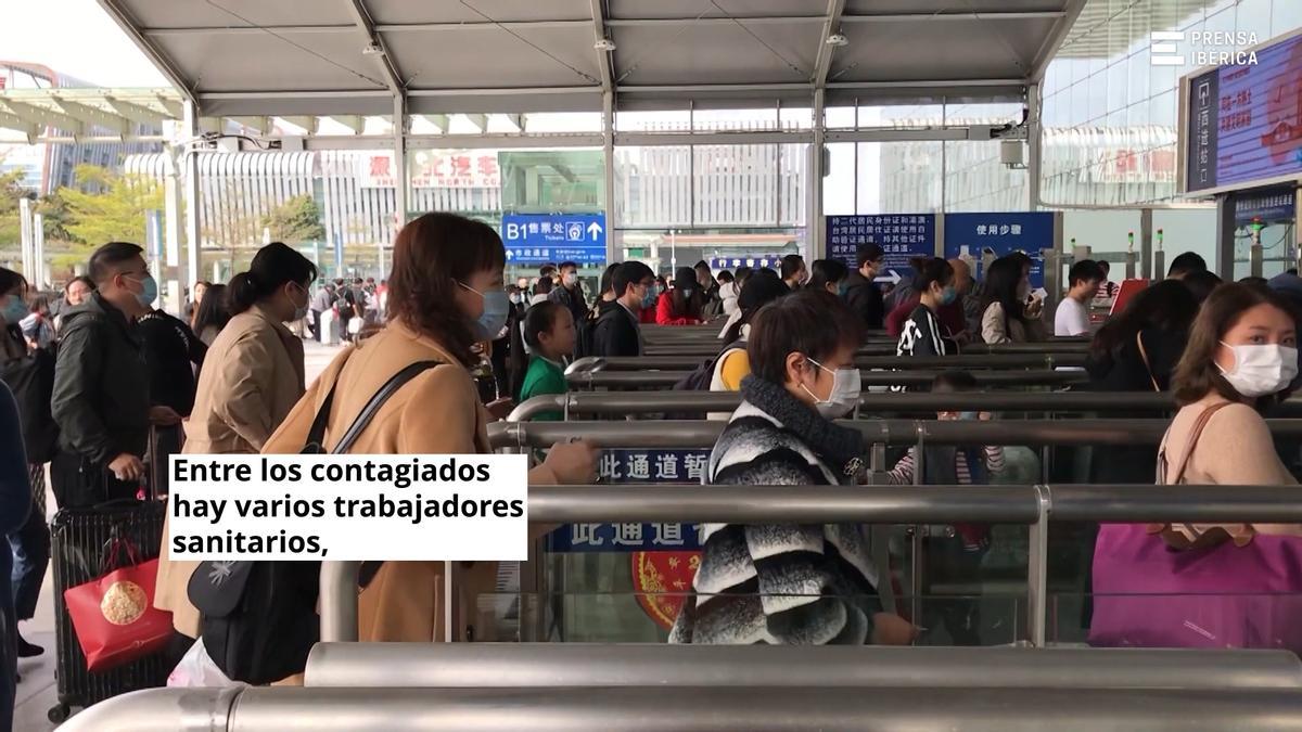 Alerta en la India por el brote del virus Nipah, que la OMS vigila porque puede provocar una pandemia