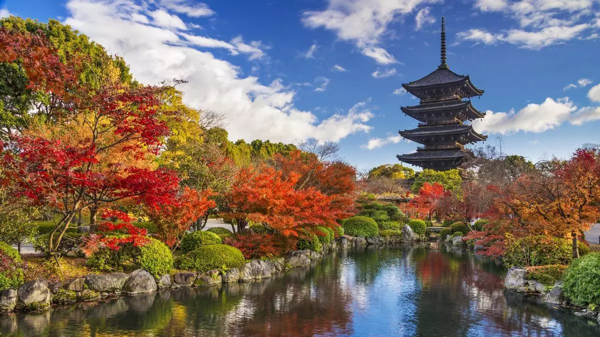 Japón, un viaje en femenino singular