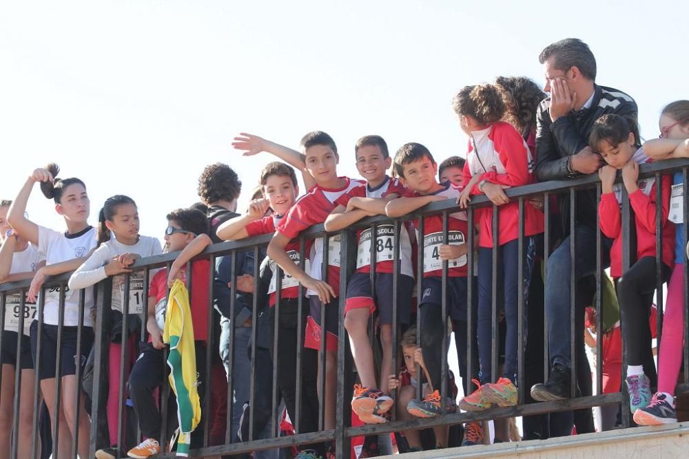 Cross Escolar Cartagena en el Circuito de Velocida