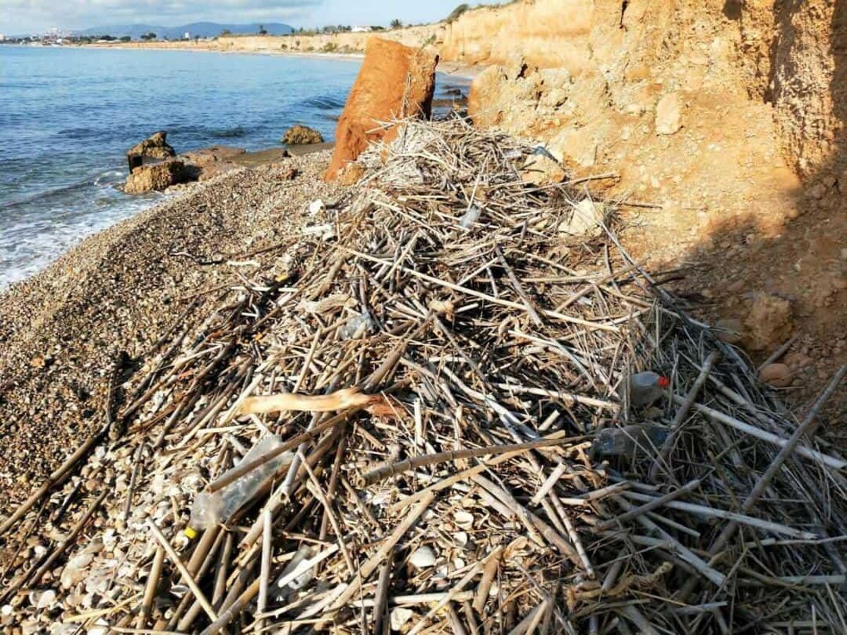Los residuos más abundantes fueron los plásticos (en forma de botellas, envases, envoltorios, bolsas, cuerdas, etc.)