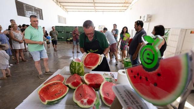 Concurso de sandías organizado por Agroeivissa.