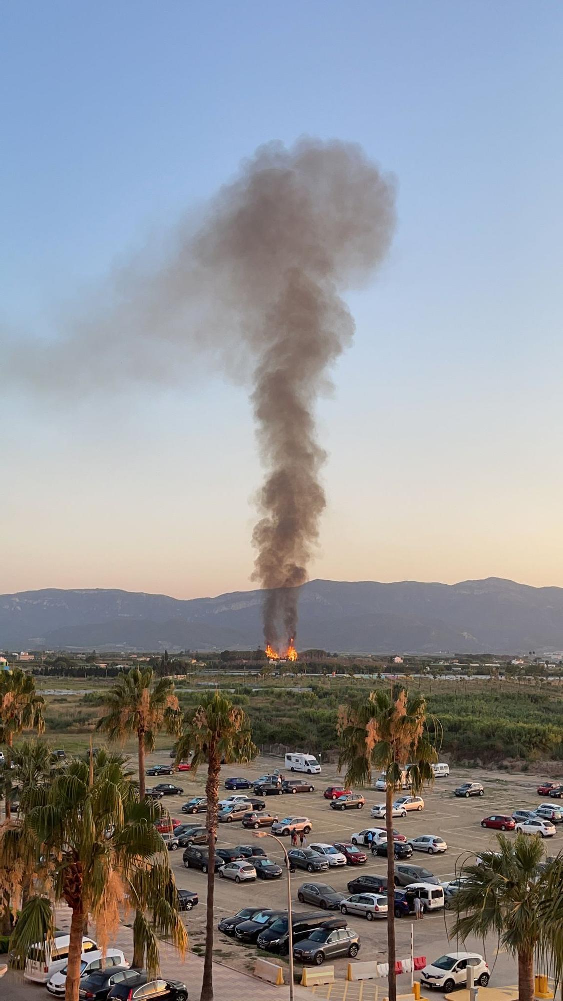 Una gran columna de humo levanta las alarmas por dos incendios declarados en un palmeral de Cullera