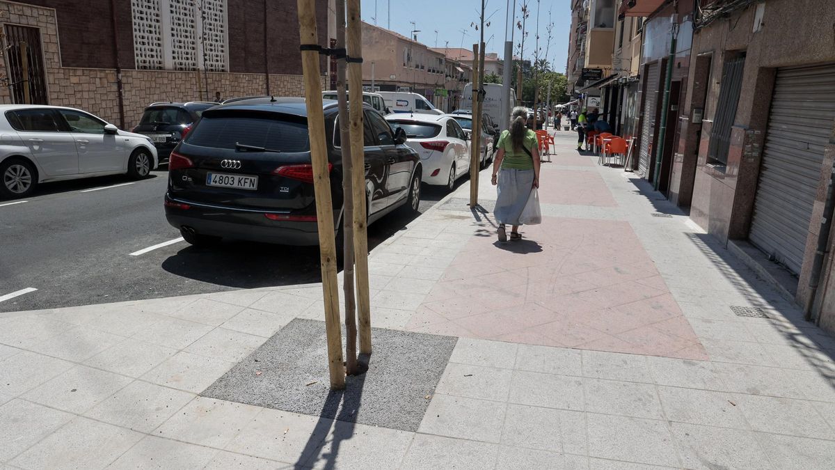 Los vecinos desconfían de que los árboles, ya plantados muy raquíticos y con las hojas secas, puedan desarrollarse en alcorques de cemento