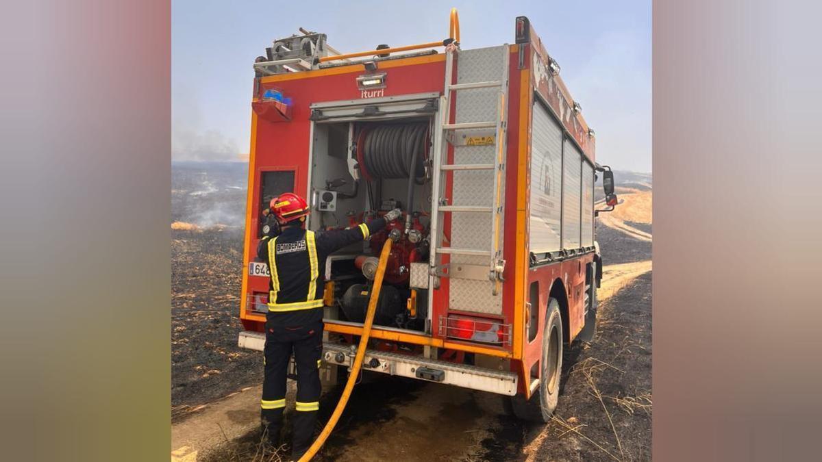 Bomberos del Consorcio Provincial trabajan en el incendio declarado en un paraje de Almodóvar del Río.
